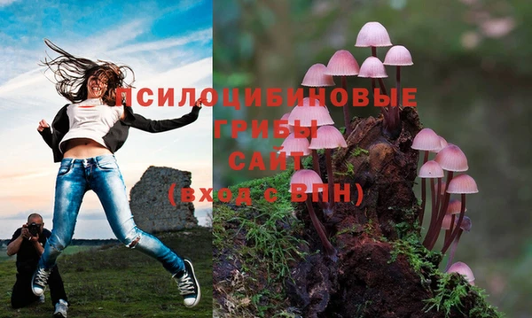 прущая мука Михайловка